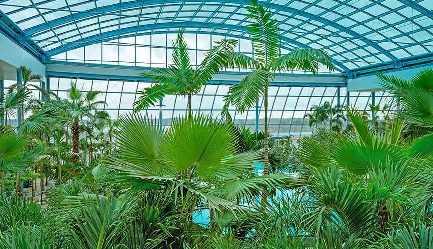 Indoor pool surrounded by lush palm trees